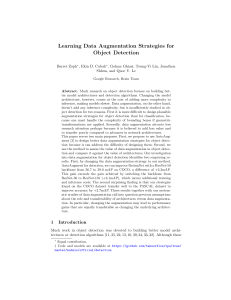 Data Augmentation for Object Detection: Strategies & Transfer