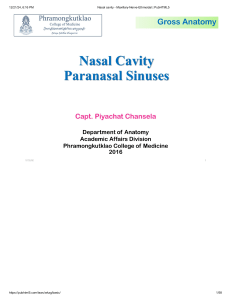 Nasal Cavity & Paranasal Sinuses Anatomy Presentation