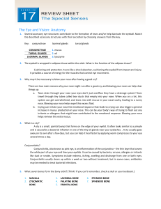 Eye Anatomy & Vision Review Sheet