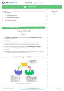 IGCSE Biology Enzymes Revision Notes