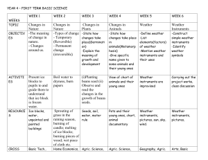 Year 4 Basic Science Curriculum Plan