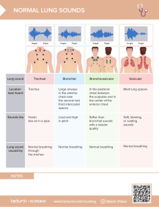 Normal Lung Sounds: Tracheal, Bronchial, Vesicular