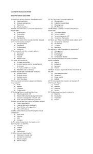 Muscular System Test: Multiple Choice Questions