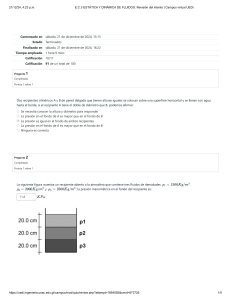 Examen Estática y Dinámica de Fluidos