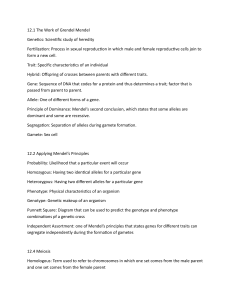 Genetics Basics: Mendel, Inheritance, Meiosis