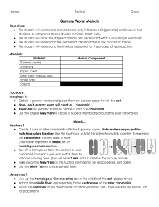 Gummy Worm Meiosis Lab Activity