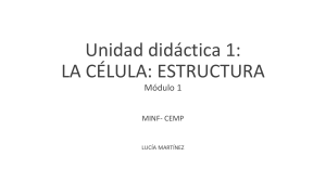 Estructura Celular: Unidad Didáctica sobre la Célula