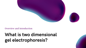 Two-Dimensional Gel Electrophoresis Overview