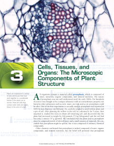 Plant Cell Structure & Organs: Textbook Chapter