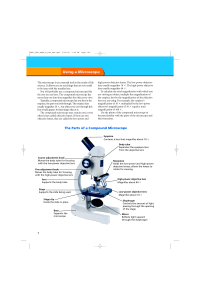 Compound Microscope Guide