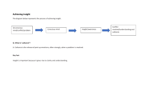 Achieving Insight Process Diagram