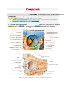 Exophtalmie : Définition, Diagnostic et Étiologies