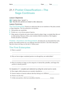 Protist Classification Worksheet