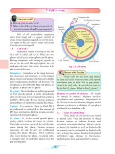 Cell Division: Cell Cycle, Mitosis, Meiosis