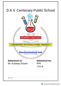 Electrochemical Cell Chemistry Project Report