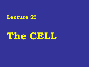 Cell Biology Lecture Notes: Cell Structure & Function