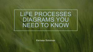 Life Processes Diagrams: Cell, Tooth, Digestive, Respiratory, Heart