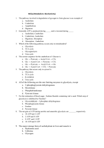 Metabolism & Biochemistry MCQs