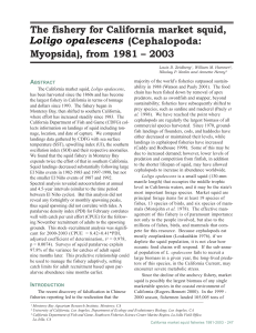 California Market Squid Fishery Analysis 1981-2003