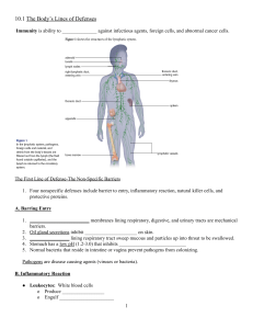 Body's Lines of Defense Worksheet