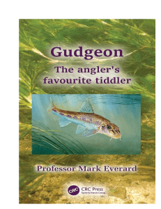 Gudgeon: The Angler's Favorite Tiddler