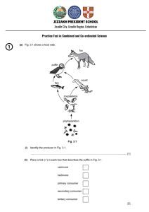 Combined Science Practice Test: Food Web