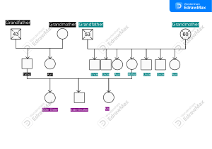 Family Tree Diagram with Ages