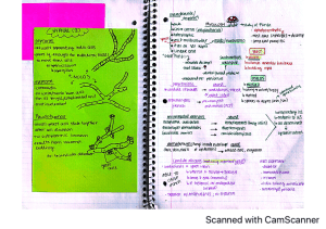 Mycology Notes: Fungi Characteristics & Types