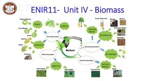 Biomass: Definition, Types, Conversion & Applications