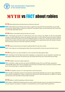 Rabies Myths vs Facts: Prevention & Treatment Guide