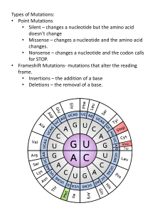 Types of Mutations: Point & Frameshift Explained