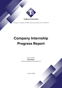 Internship Progress Report: Shiela Meyer at TopBrand Corp