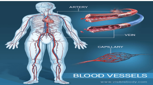 Blood Vessels: Structure, Function, and Differences