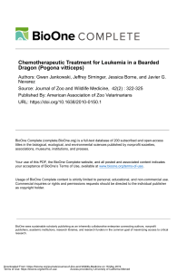 Leukemia Treatment in Bearded Dragon: A Case Study