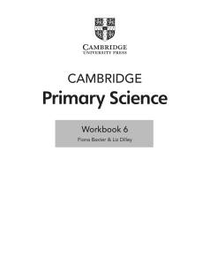 Primary Science Workbook 6: Human Body, Materials, Forces