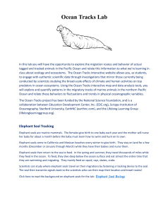 Ocean Tracks Lab: Elephant Seal Migration & Trophic Interactions