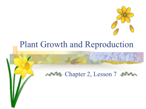 Plant Growth & Reproduction: Seeds, Germination, Pollination