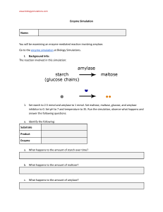 Enzyme Simulation Worksheet