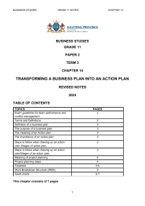 Business Studies Grade 11: Action Plan Notes