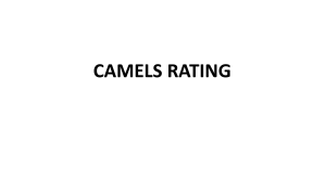 CAMELS Rating System Explained