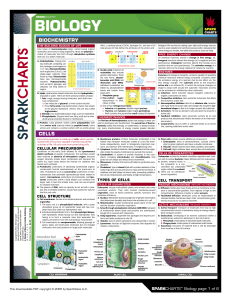 Biology Study Guide: Biochemistry, Cells, Transport