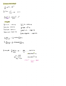 Calculus Derivatives & Integrals Lecture Notes