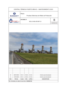 Electrical Relay Tests Report - Puerto Bravo Plant