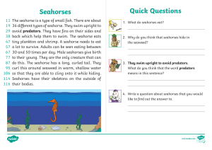 Seahorses Worksheet: Reading Comprehension & Questions