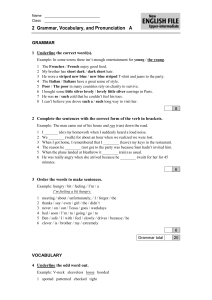 English Grammar, Vocab, Pronunciation Worksheet