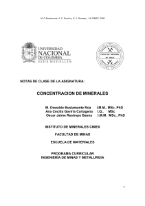 Concentración de Minerales: Notas de Clase