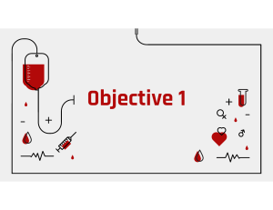 Blood Basics: Components, Functions, and Formation