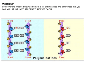 DNA vs RNA Structure & Function: Presentation & Quiz