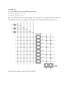 PROM Implementation Example