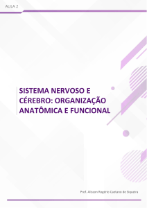 Sistema Nervoso e Cérebro: Organização Anatômica e Funcional